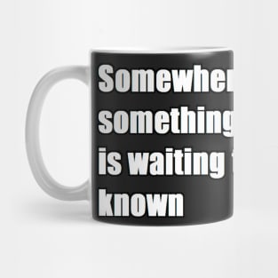 somewhere, something incredible is waiting to be known Mug